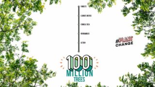 Ecosia, 100 milioni di alberi