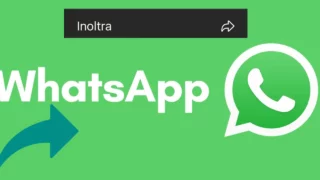 whatsapp inoltra nuova funzione testo link file