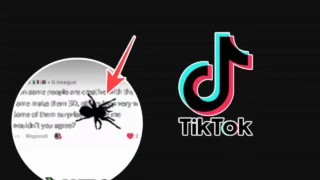 TikTok, come si fa il commento con il ragno