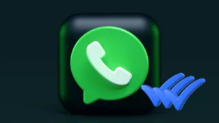 whatsapp terza spunta blu verità