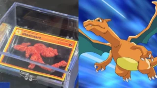 patatina forma charizard